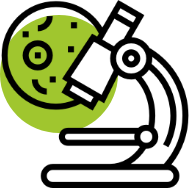 <h3>Histopathology</h3>
The examination of tissues and/or cells obtained from biopsy or surgery by a pathologist.